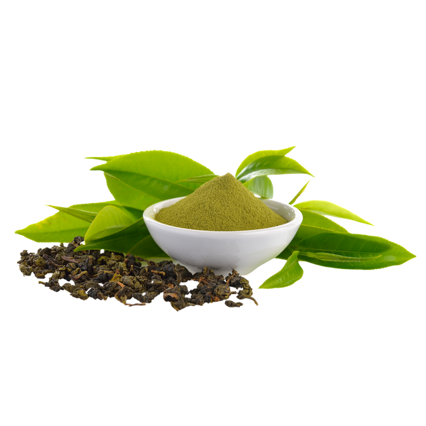 Green Tea Extract